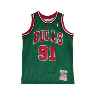 Swingman Dennis Rodman Chicago Bulls 1996-07 Jersey